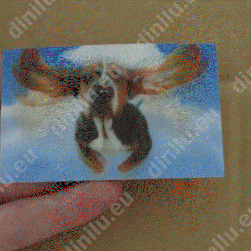 Lenticular with animation 54x86mm (credit card size) Lenticular print 54x86mm image